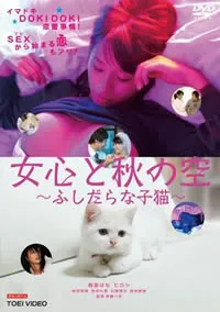 霹雳战士 霹靂戰士